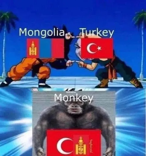 Mongolia Turkey Monkey