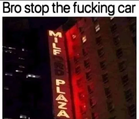 Bro Stop the Fucking Car