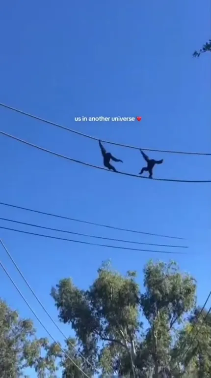 Us in Another Universe