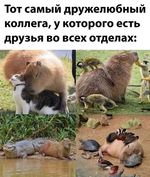 Дружелюбный коллега со всеми дружит
