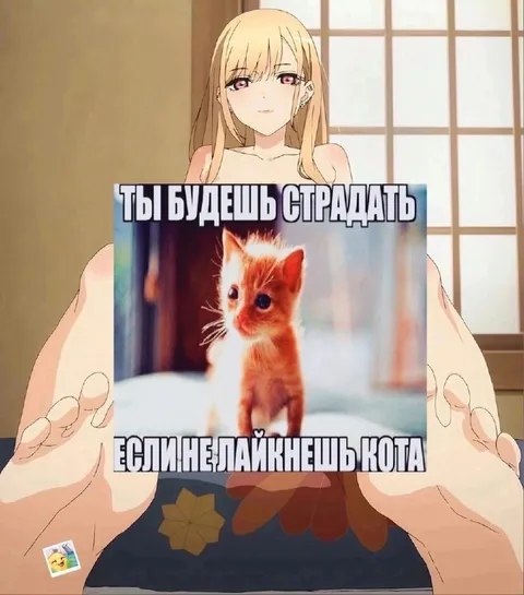 Кот заставит тебя страдать