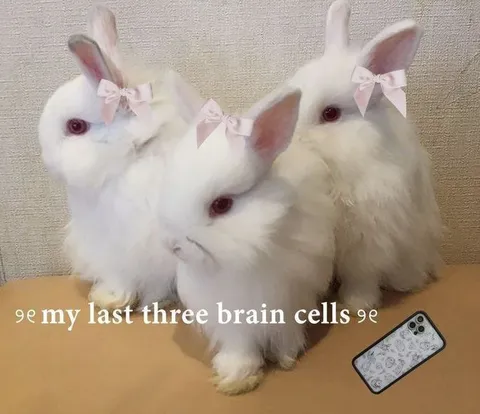 My Last Three Brain Cells