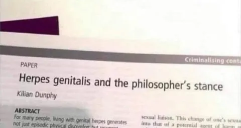 Herpes Genitalis Philosophy Paper