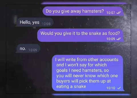 Hamsters for Snake Food