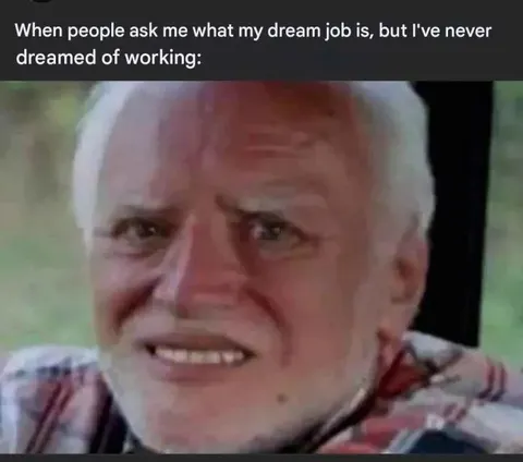 Never Dreamed of Working