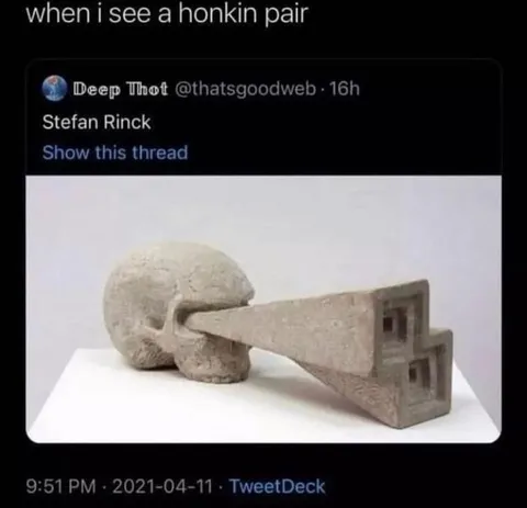 When I See a Honkin Pair