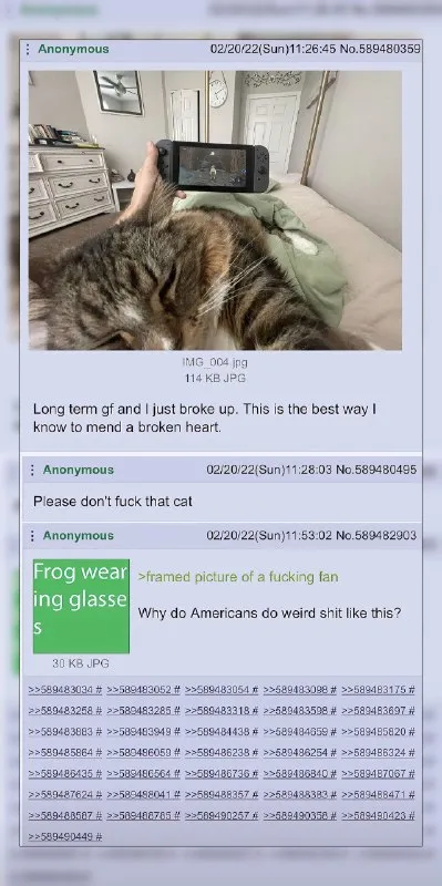 Please Don't Fuck That Cat
