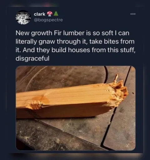 Soft Fir Lumber Is Disgraceful