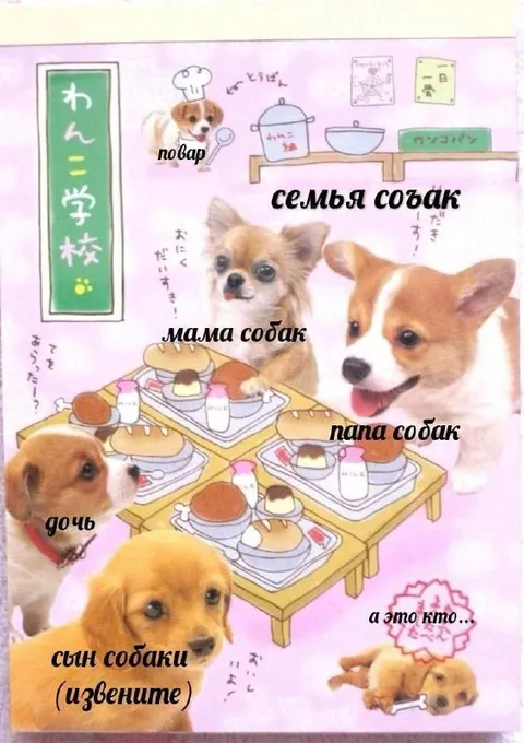 Странная семья собак
