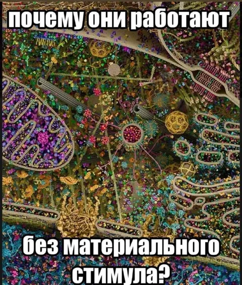 Почему они работают без стимула