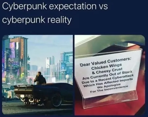 Cyberpunk Expectation vs Reality