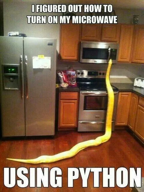 Turning On the Microwave with Python