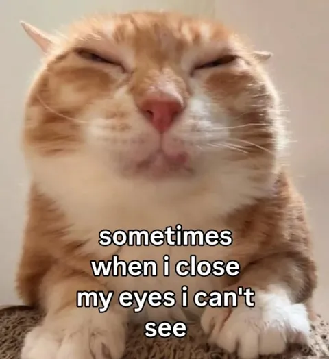 Sometimes I Can't See