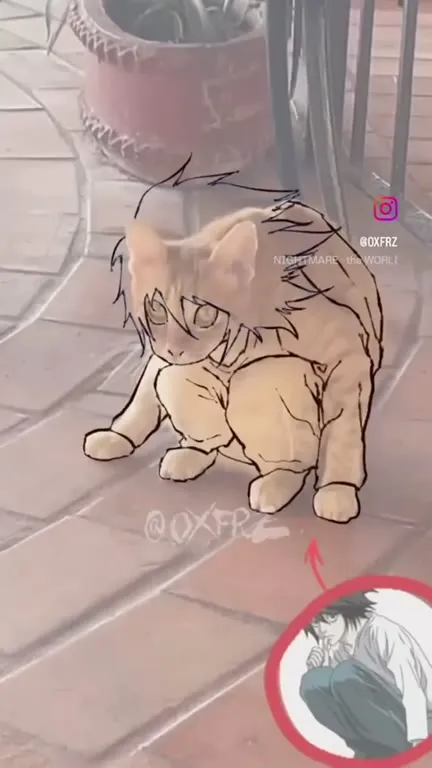 Кот превращается в L