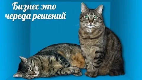 Бизнес — череда решений