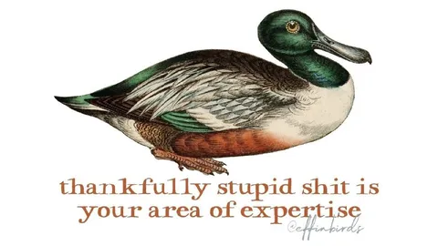 Stupid Shit Expertise Duck