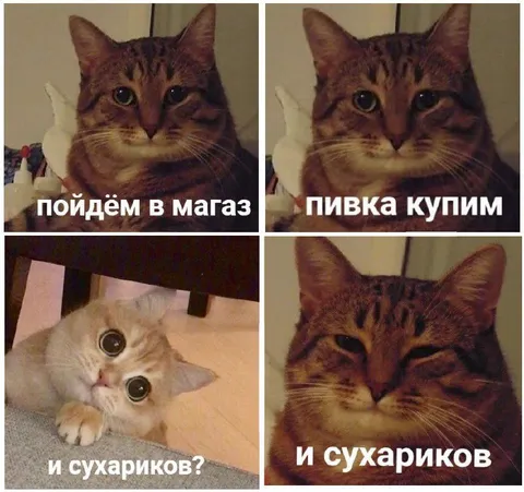 Пойдём в магаз за пивком