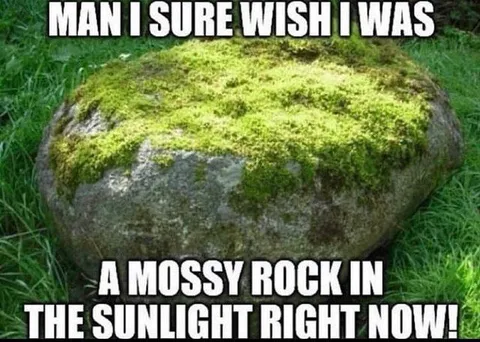 Mossy Rock in the Sunlight