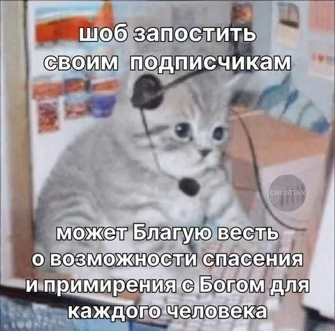 Кот проповедует спасение