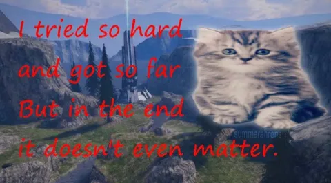 I Tried So Hard Cat
