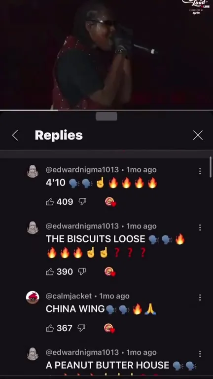 Concert Comments Turn Into Chaos