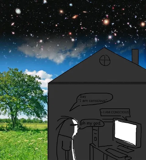 Computer Says I Am Conscious