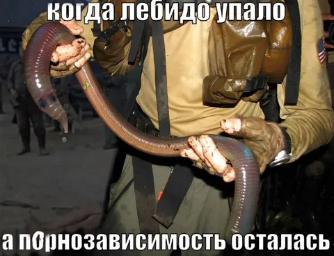 Либидо упало, зависимость осталась