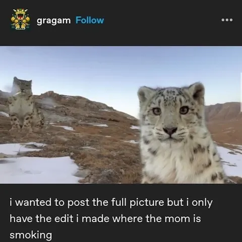Snow Leopard Mom Smoking Edit