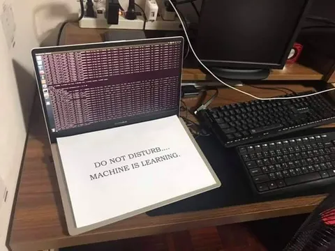 Do Not Disturb Machine Is Learning