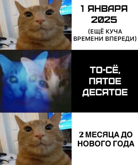 Когда год пролетел мгновенно