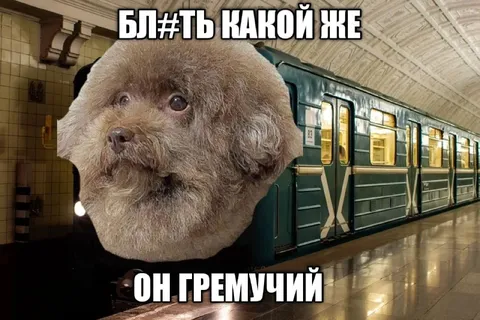 Гремучий пёс в метро