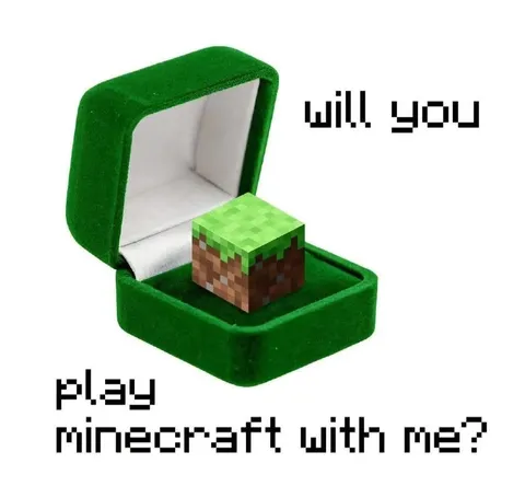 Will You Play Minecraft With Me?