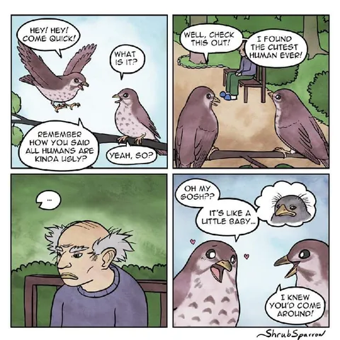 Birds Discover a Cute Human