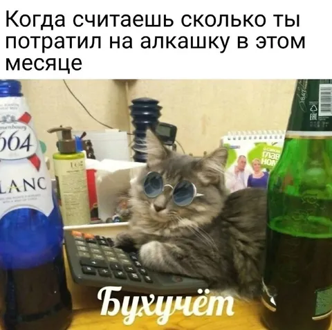 Бухгалтерия после пьянки