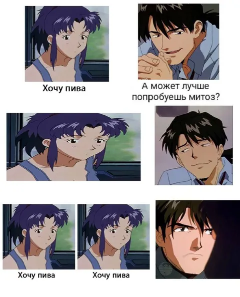 Хочу пива, а может митоз?