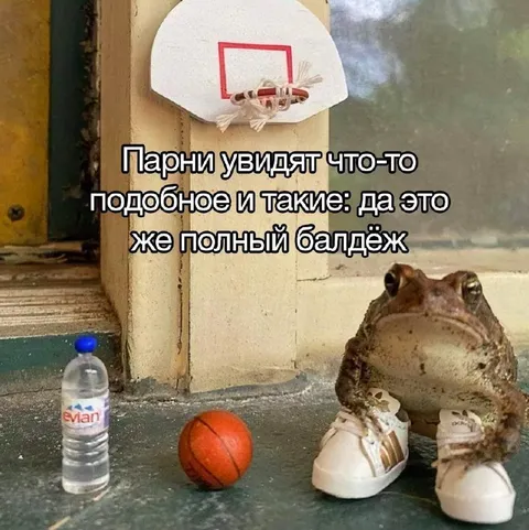 Полный балдёж с лягушкой