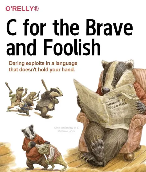 C for the Brave and Foolish