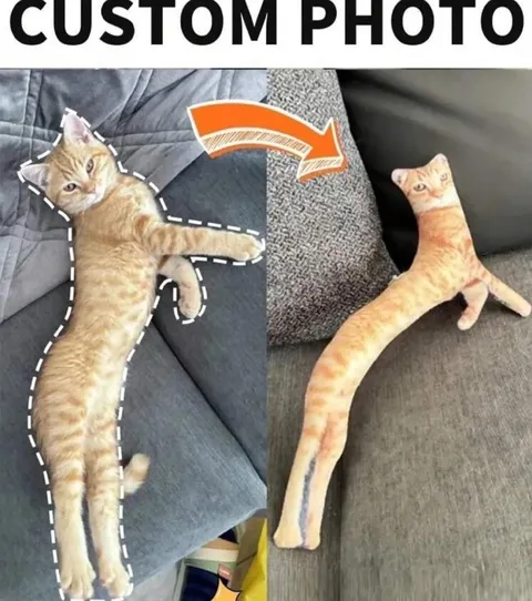 Custom Photo Cat Edit