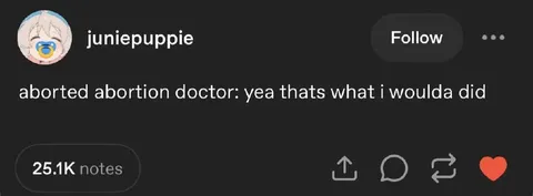 Aborted Abortion Doctor