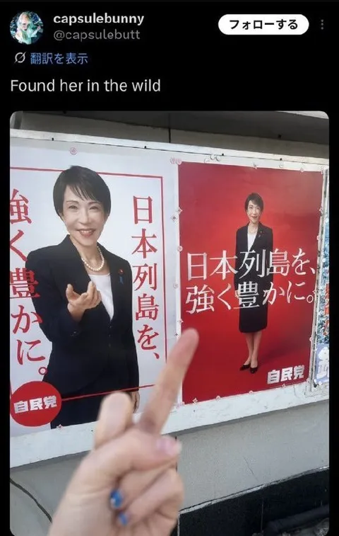 Found Her on a Campaign Poster