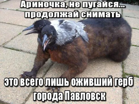 Оживший герб города Павловск