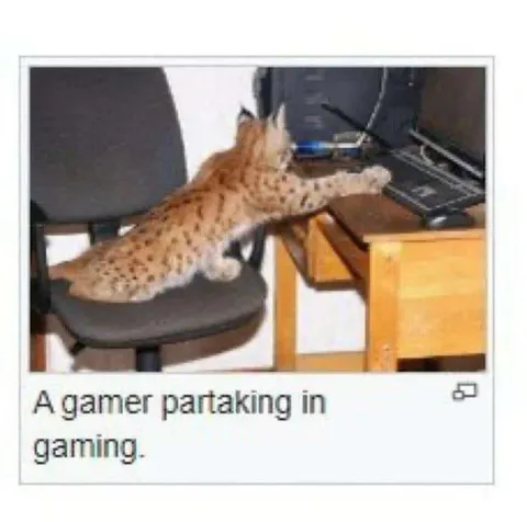A Gamer Pataking in Gaming