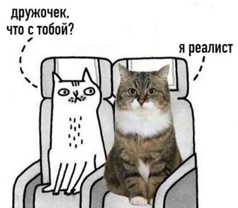 Я реалист среди фантазёров