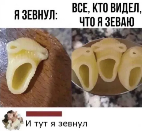 Зевота заразительна