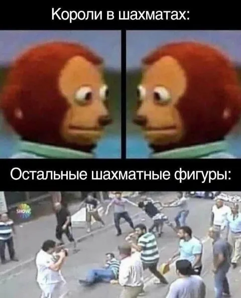 Короли в шахматах