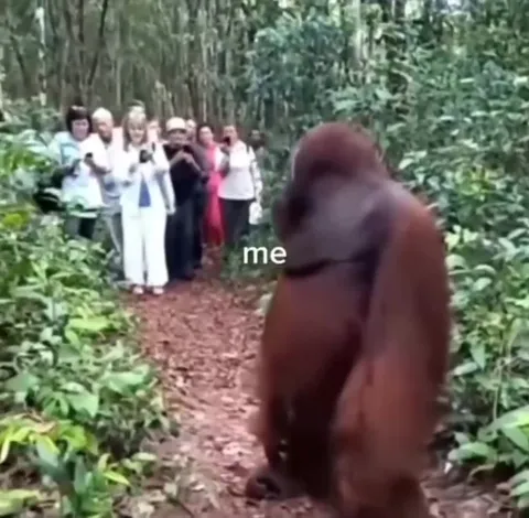 Me Having a Normal Day