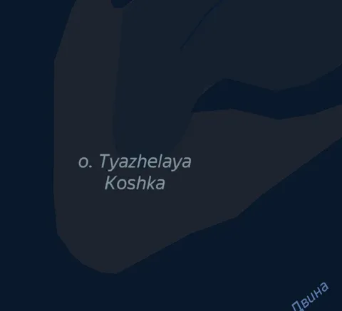 Тяжёлая кошка в темноте