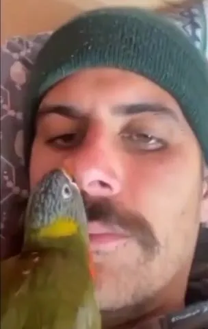 Нежное свидание с рыбой