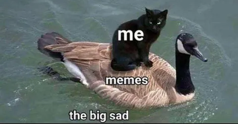 Me, Memes, and the Big Sad