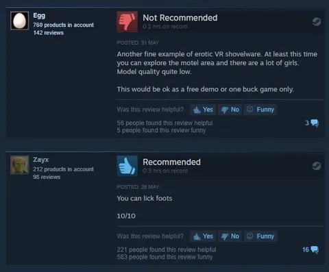 Erotic VR Review vs Foot Licking